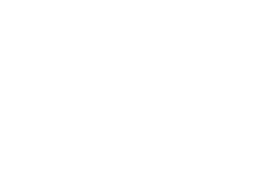 Servicio Integral